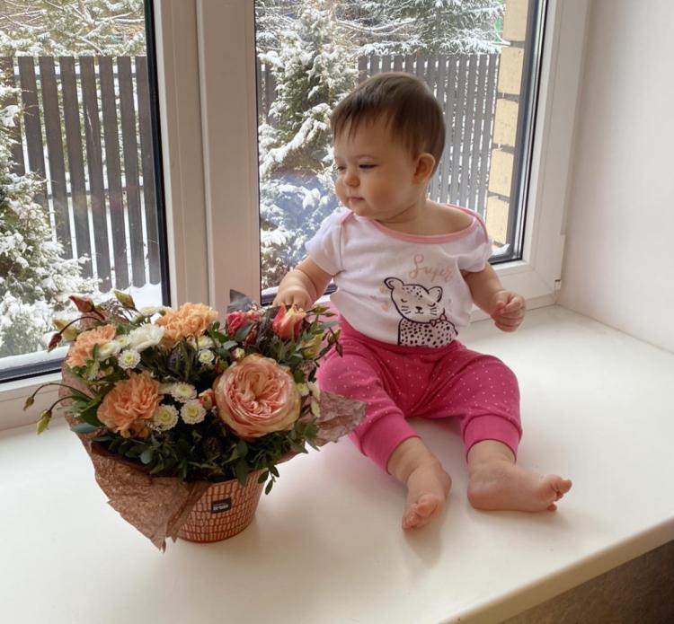 Курс видеоуроков 